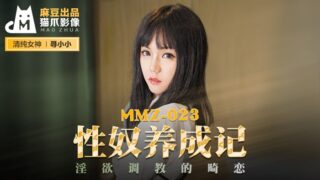 MMZ023 Sex Slave Training Diary