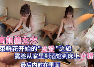 A stunningly beautiful woman with stunning looks, destined for stardom, gets drunk and sexually assaulted – a full record of her encounter and drinking session – by the deeply affectionate Xiao Lu Bu.