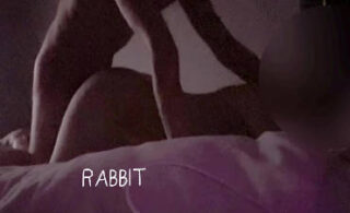 I love being bullied by my brother like this – rabbit