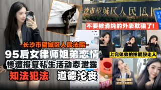 A post-95 female lawyer’s relationship with and lawbreaking.